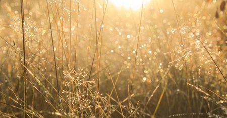 Prognoza pogody do końca tygodnia. Z dnia na dzień temperatura będzie coraz niższa