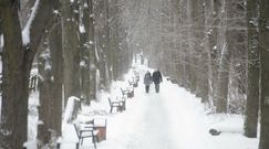 Prognoza pogody długoterminowa. Meteorolog zdradza, jaka będzie zima