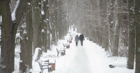 Pogoda długoterminowa. Ekspert z IMGW o nadchodzącej zimie