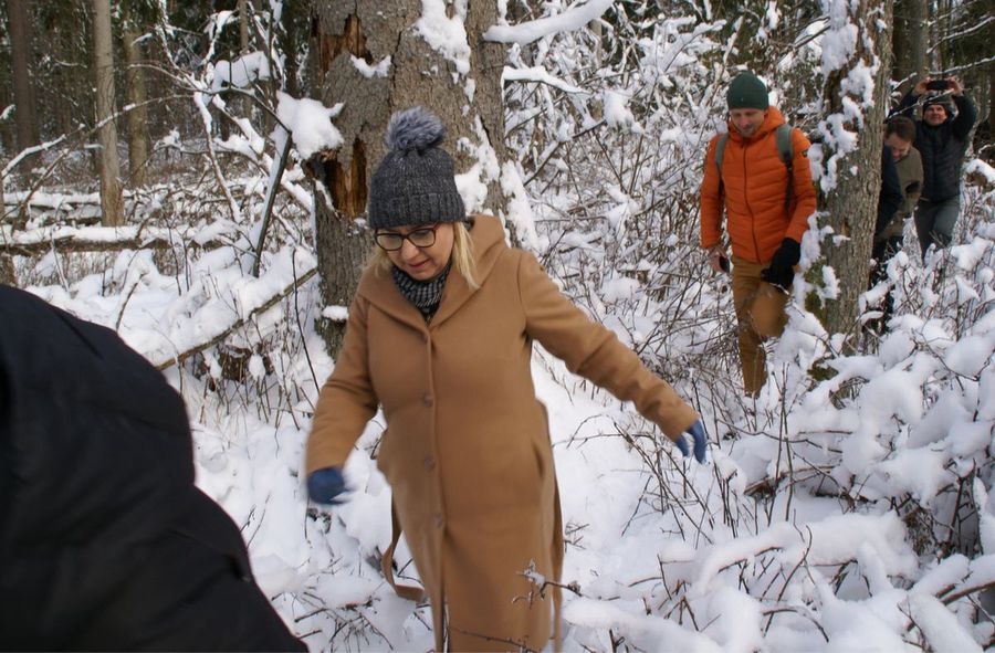 New national parks announced in Poland. Tree logging halted