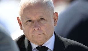 PiS pokazowo "zaorał się" nowym spotem [OPINIA]