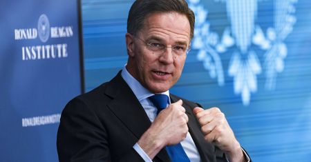 Rutte o "tatusiu" Trumpie. "Problem językowy"