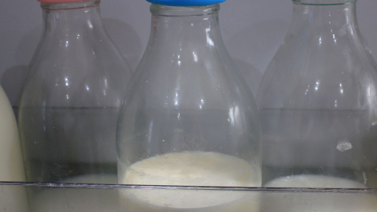 Lepiej nie pij mleka, może ci zaszkodzić