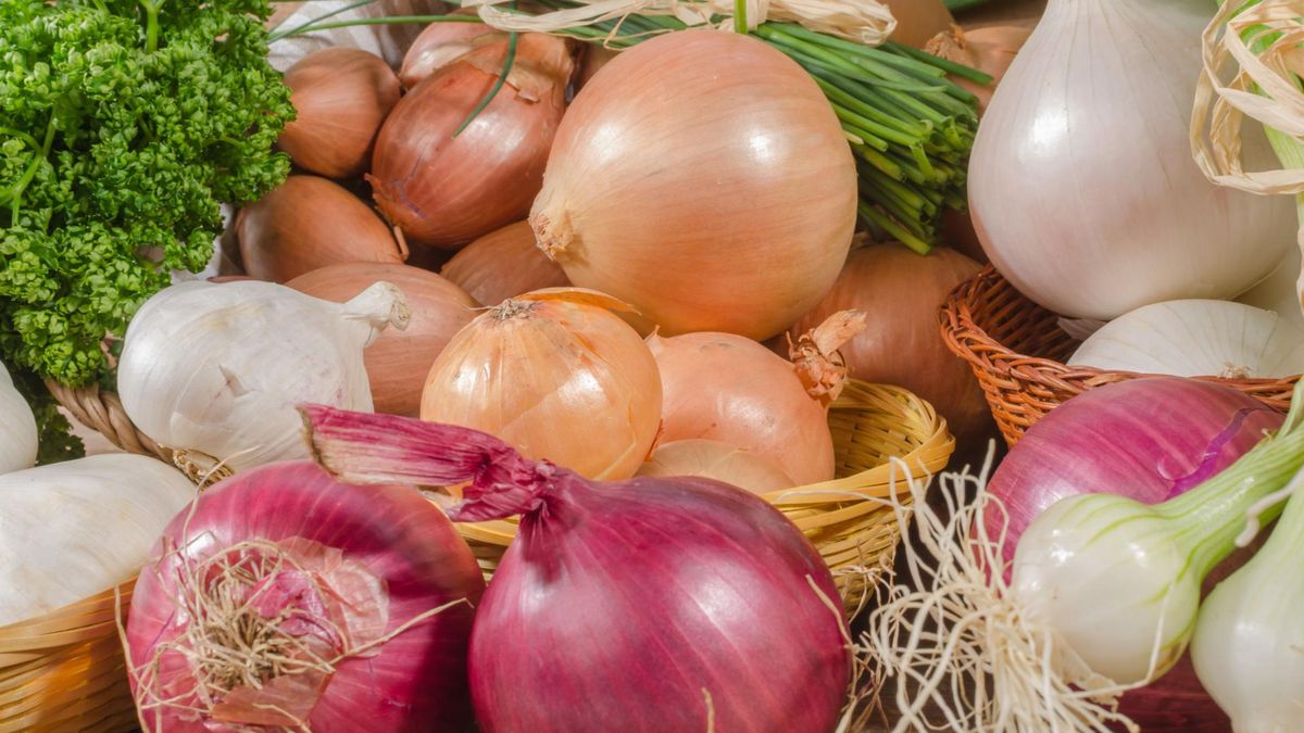 Czosnek i cebula mają działanie przeciwnowotworowe. Obniżają ryzyko zachorowania na raka jelita grubego