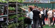 Grudziądz: Koncerty, Festiwal Roślin, spotkanie z alpinistą i pokaz iluzji. Oto imprezy w weekend 14-16 listopada
