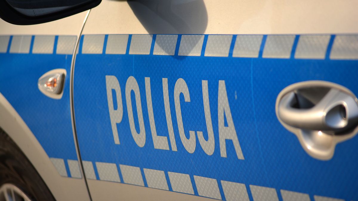 Policyjne radiowozy mają wyglądać inaczej