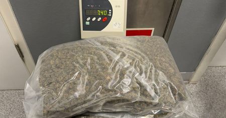 Marihuana z Kanady ukryta w paczkach z ubraniami.
