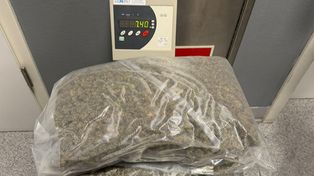 Marihuana z Kanady ukryta w paczkach z ubraniami.