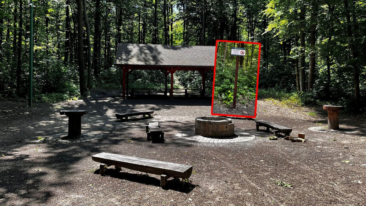 Usunęli śmietniki. Teraz tłumaczą.