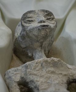 "Szkielety kosmitów" zbadane w Meksyku. "Są jednorodną strukturą"