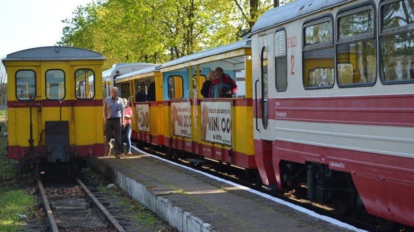 Żuławska wąskotorówka na linii z Nowego Dworu Gd. do Stegny