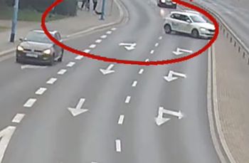 Legnica: Pies wbiegł na ulicę, doszło do kolizji. Właściciel uciekł