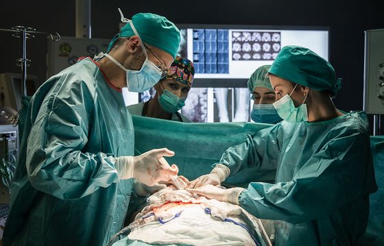 Nowe tajemnice i wątek kryminalny w „Diagnozie 2”. Do obsady dołączają Jan Englert i Łukasz Simlat (zdjęcia)