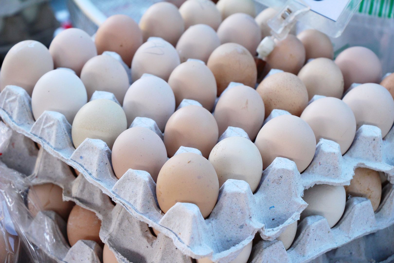 Chów nie wpływa znacznie na jakość odżywczą wybieranych przez nas jajek