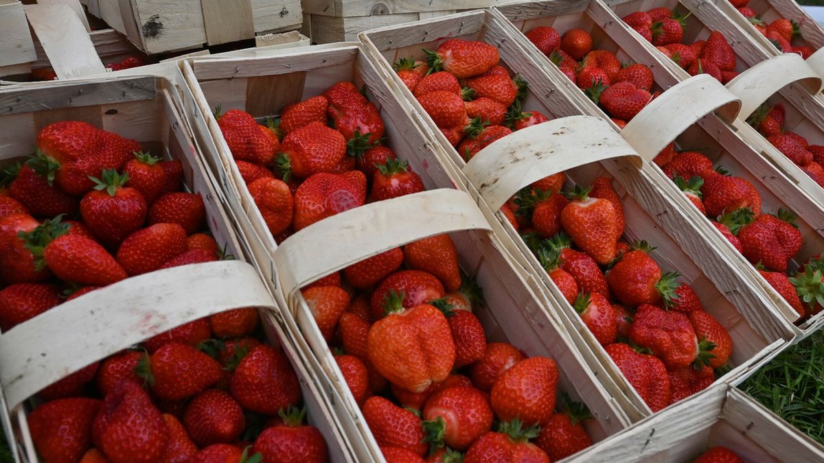 Warto zwracać uwagę na kraj pochodzenia owoców, po które sięgamy