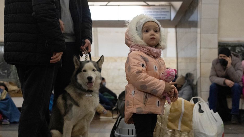Wojna na Ukrainie. Ogromny sukces sił Kijowa. Odbili Charków. Na zdjęciu:  mieszkańcy Kijowa na jednej ze stacji metra, wykorzystywanej jako schron 