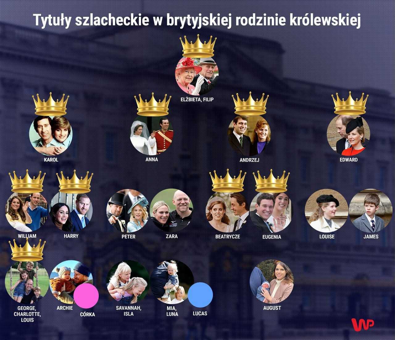 wp