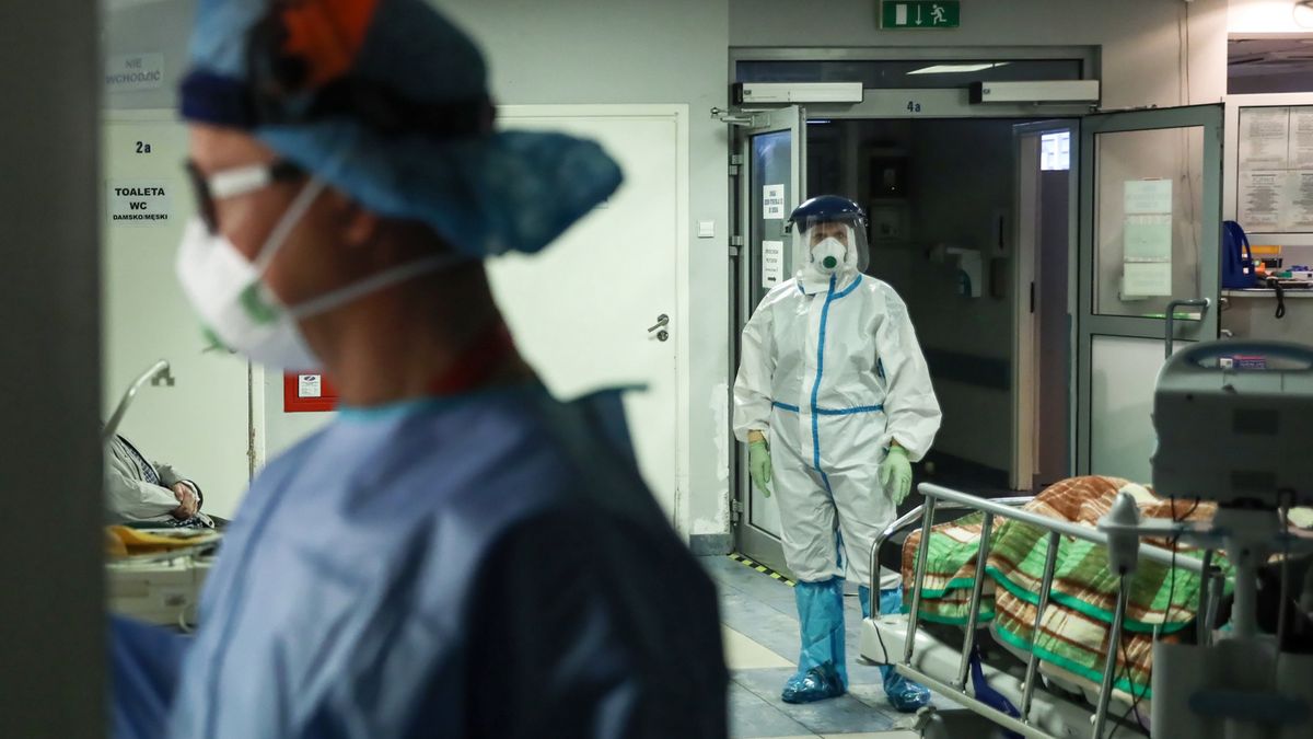 Przerażająca wizja naukowców