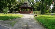 Koło: Kolskie parki pięknieją. Nowe alejki i ławki w Parku Moniuszki