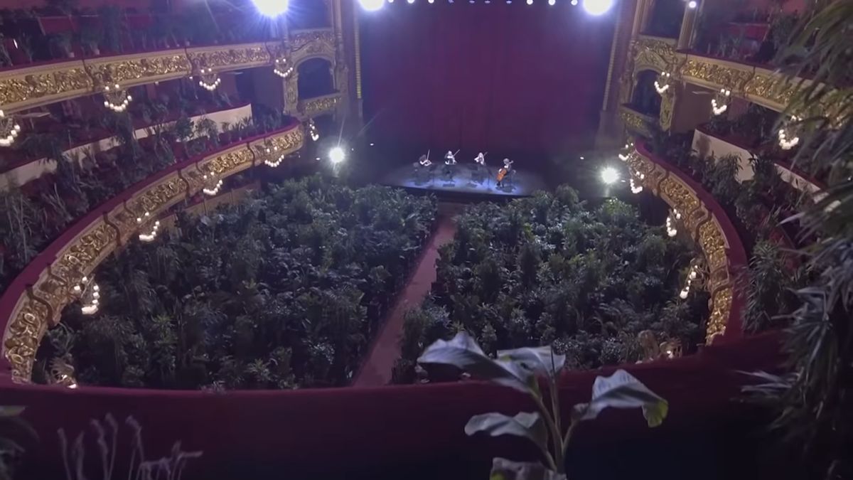 Zobacz ponad 2 tys. roślin biorących udział w koncercie na żywo w Barcelonie 1