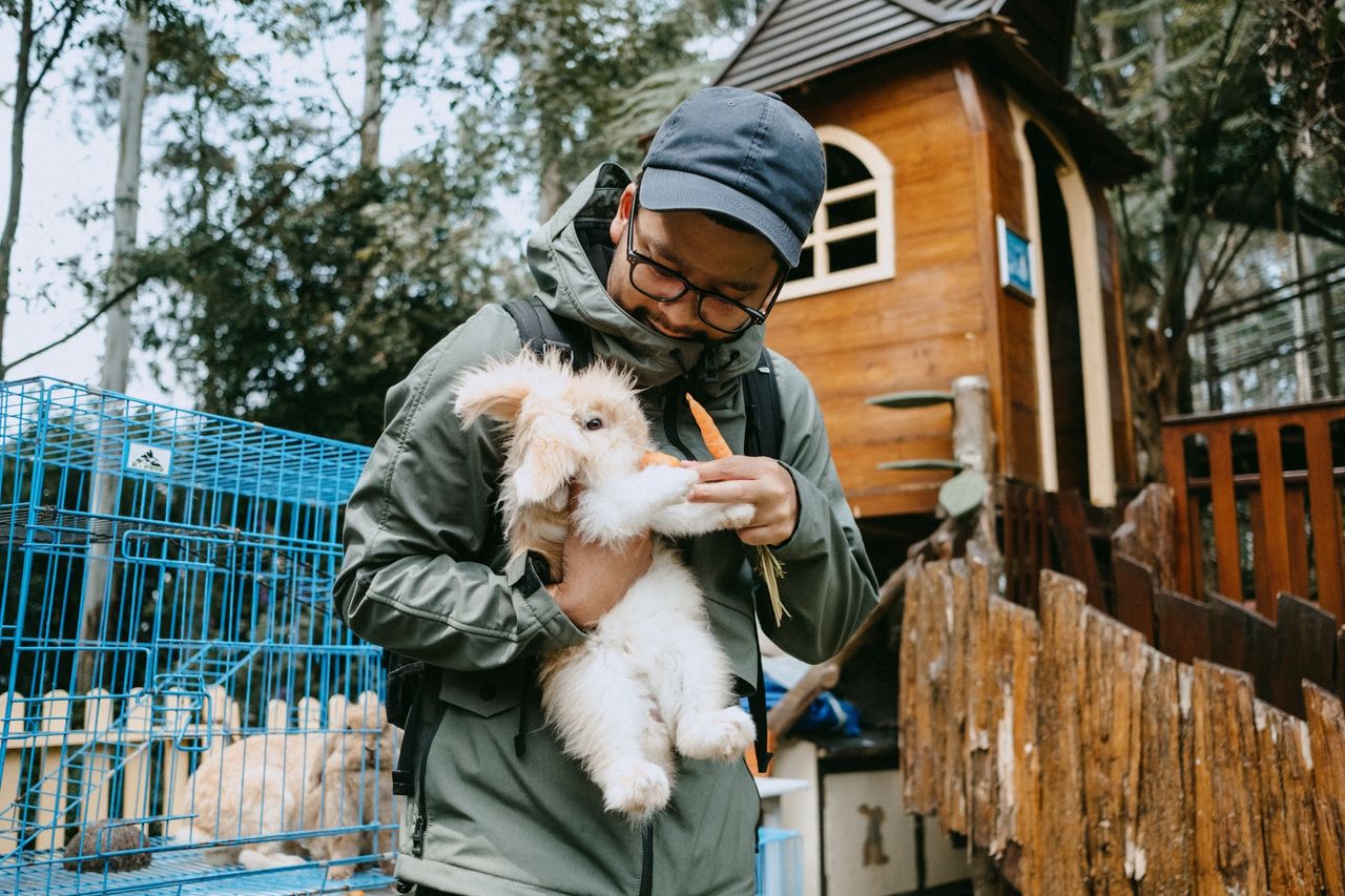 Zoo w Indonezji planuje uśmiercić część zwierząt. "Nie ma innego wyjścia"