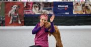 Lublin: Targi Zoologiczne ZOOPARK przyciągnęły tłumy. Weekend w świecie zwierząt