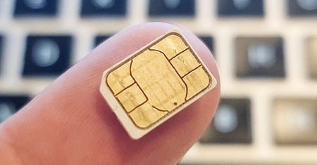 Ile kosztuje najdroższa karta SIM? W tej cenie można kupić dobre mieszkanie