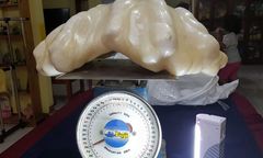 Największa perła świata waży 34 kg