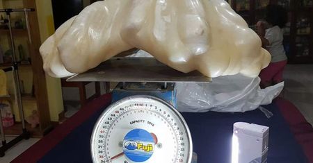 Największa perła świata waży 34 kg
