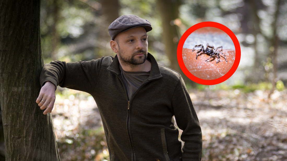 Pożyteczni mieszkańcy ogrodu. "Naturalny pogromca komarów"