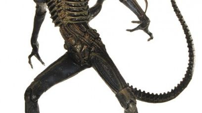 Niezły konkurs z pierwiastkiem kobiecym! 1