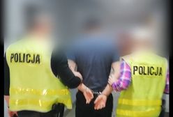 Dolny Śląsk. Policja zatrzymała złodziei samochodów