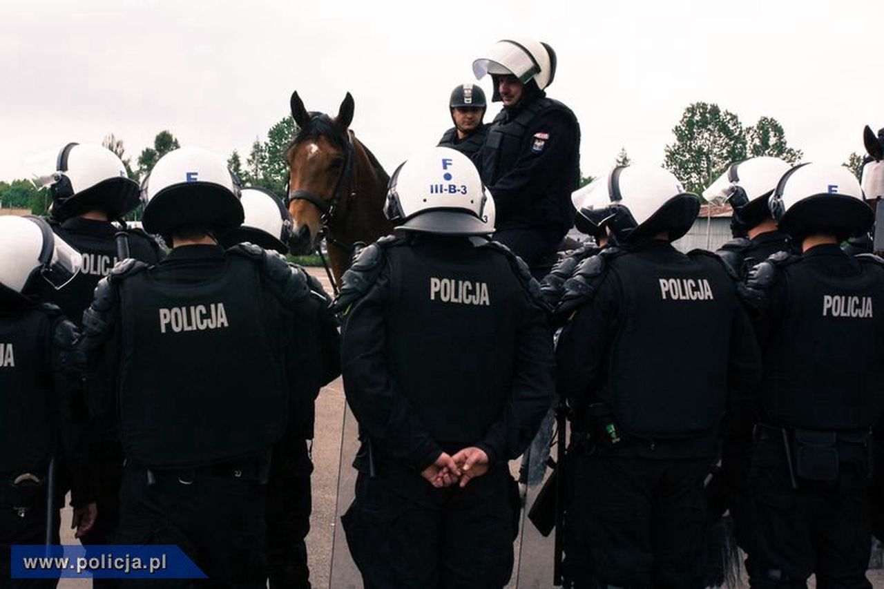Warszawa. 14 koni pełni służbę w policji. KSP ogłasza przetarg na zakup kolejnych