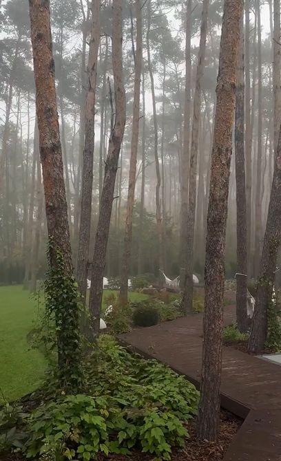 Ogród Sylwii Przybysz