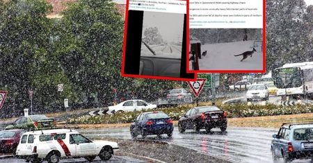 Australia na biało. Największe opady śniegu od dekad