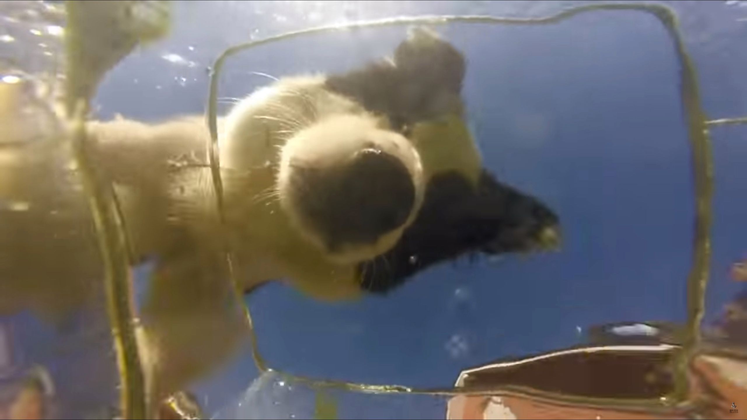Akcesoria GoPro. Co warto, a czego nie warto kupować 2