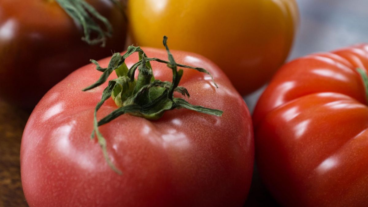 Nie powinno się spożywać pomidorów na pusty żołądek