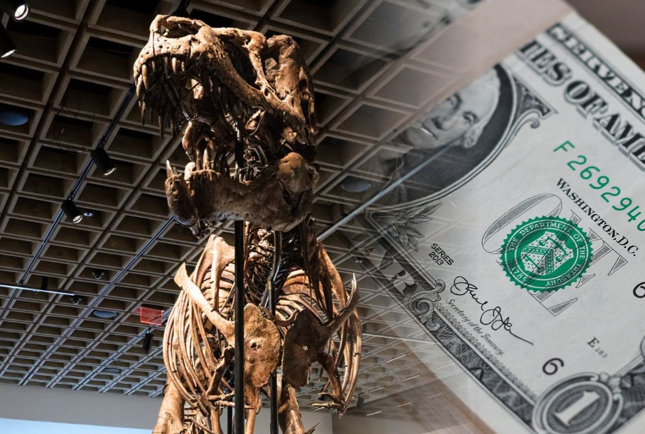 Miliony za szczątki dinozaura. Tyranozaur Gus z rekordową ceną