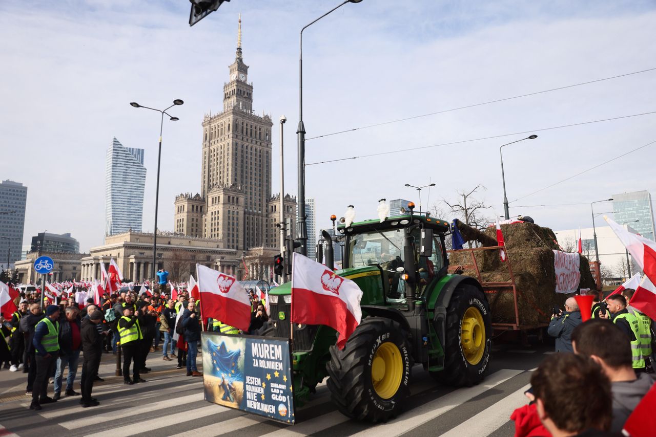 Rolnicy: nie opłaca nam się uprawiać ziemi. "To jak gra na giełdzie"