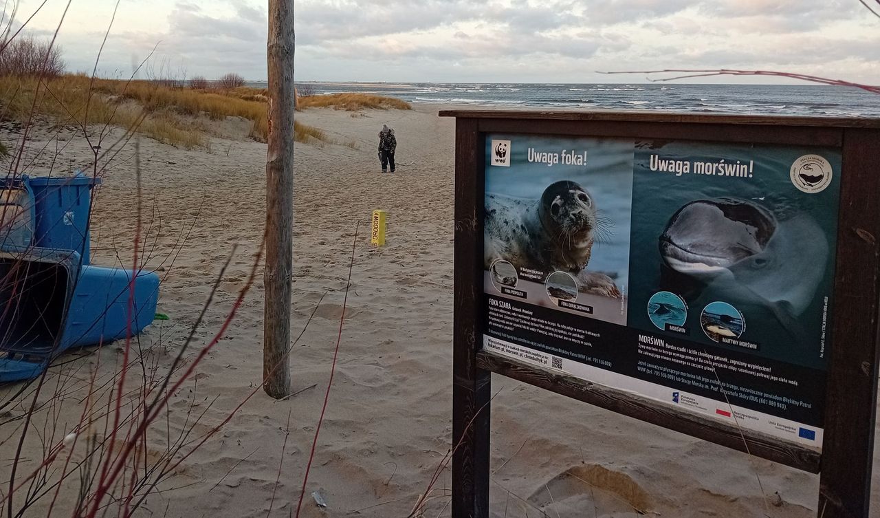 Mikoszewo, wejście na plażę nr 88