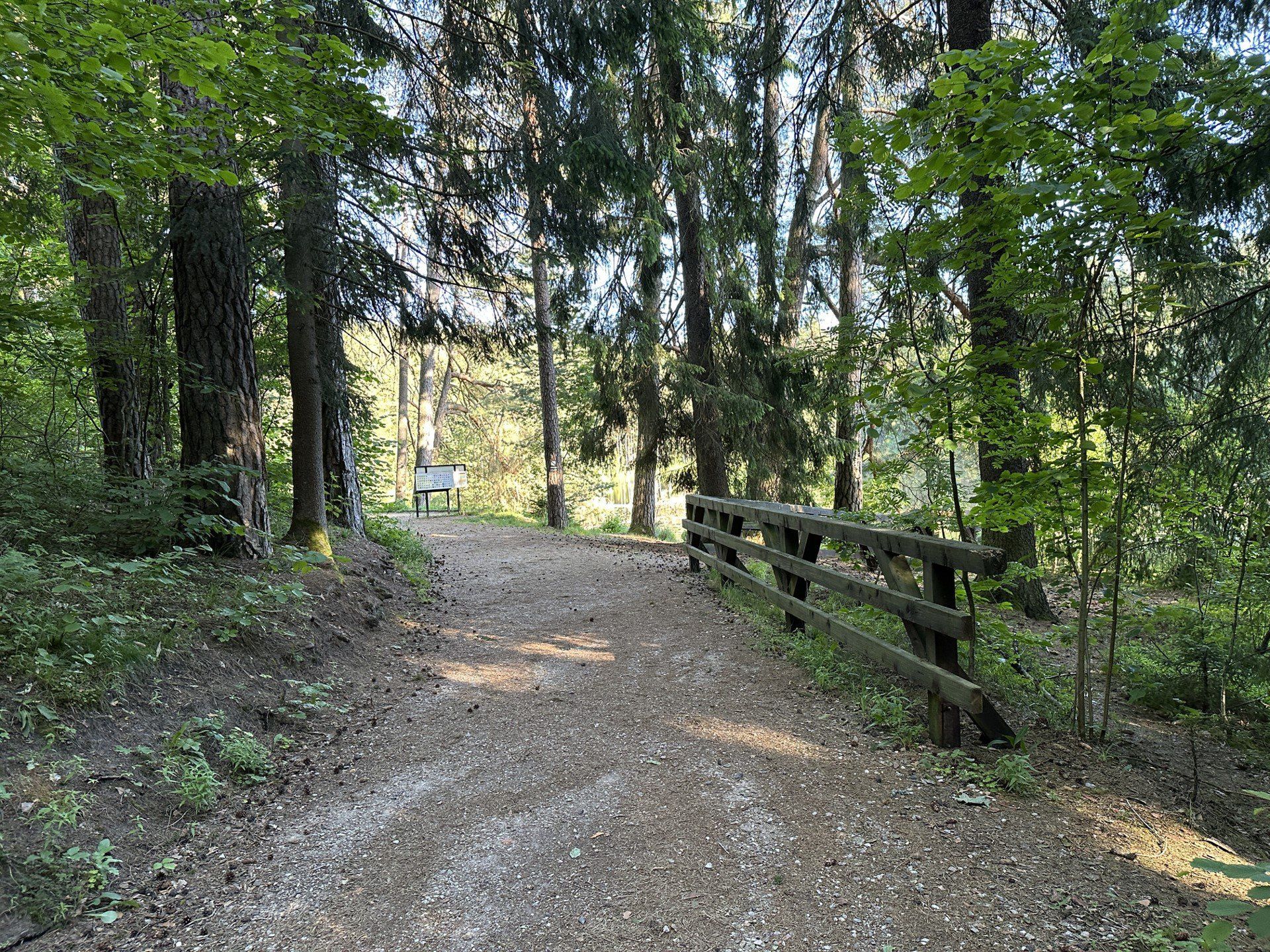 Wigierski Park Narodowy - ścieżka Las i Suchary