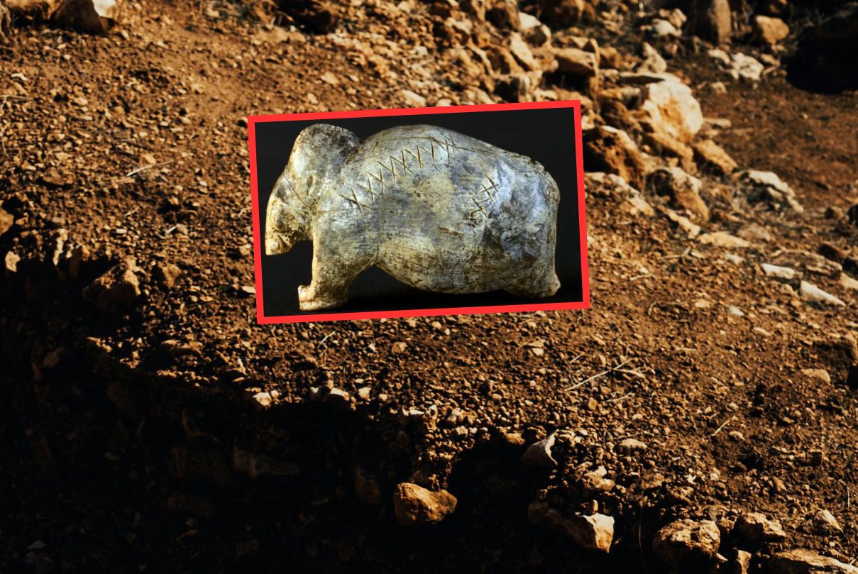 Mogą mieć 45 tys. lat. Sensacyjne odkrycie w niemieckich jaskiniach