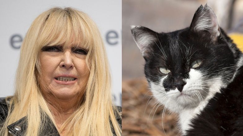 Maryla Rodowicz uczy koty bułgarskiego