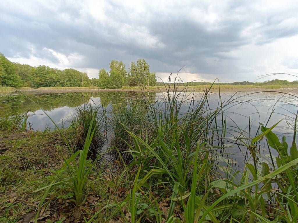 Park Krajobrazowy Lasy nad Górną Liswartą