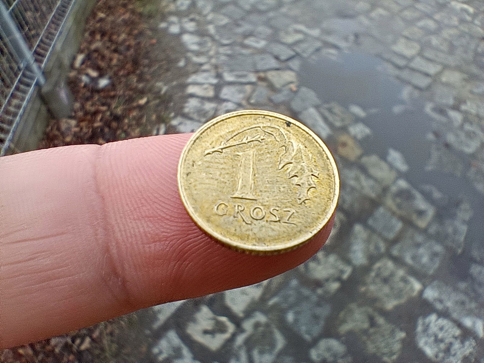 Aparat realme 9 Pro+ wymiata w nocy. Tak, może się równać z flagowcami 89