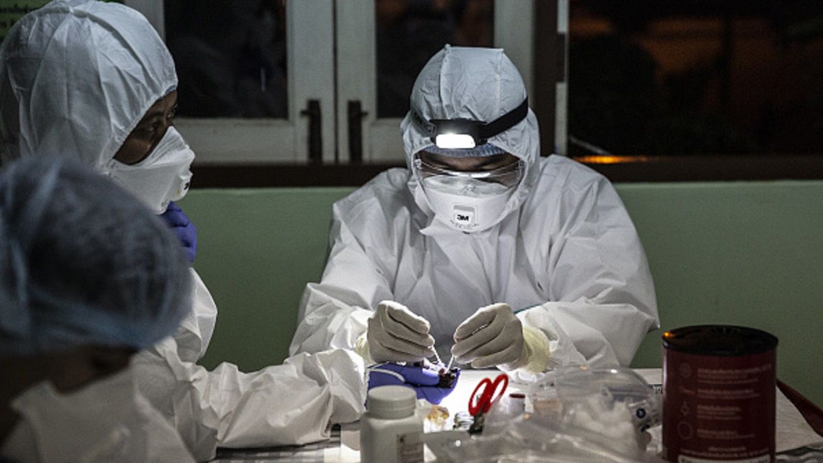 Naukowcy z Wuhan chcieli uwolnić koronawirusy nietoperzom 