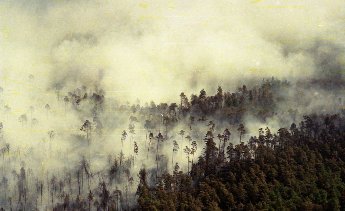 Pożar z 27 sierpnia 1992 r. wydawał się nie do opanowania. Trawił 10,5 ha lasu na minutę