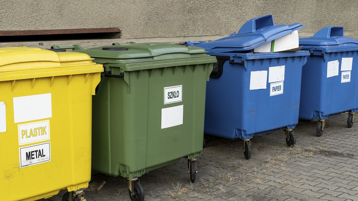 Ze śmietnika dochodziło wołanie.