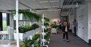 Staż pracy liczony inaczej. Zyska nawet 5 mln zatrudnionych