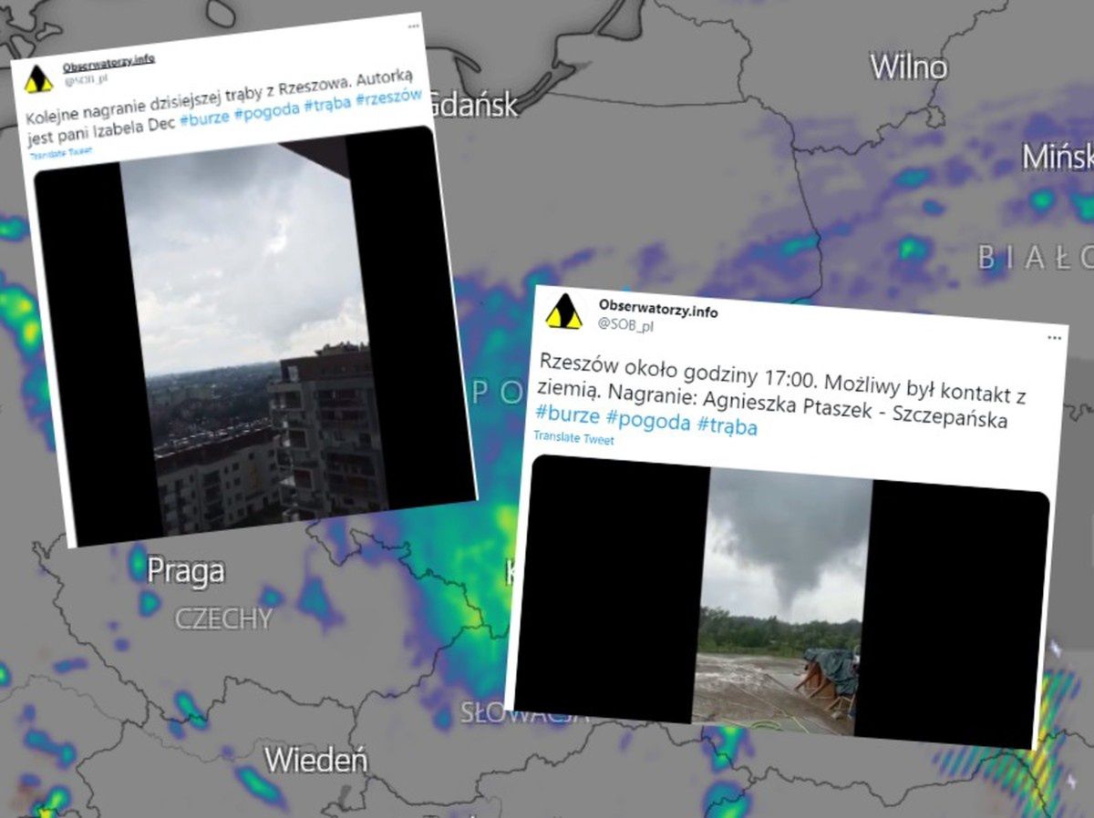 Mapka